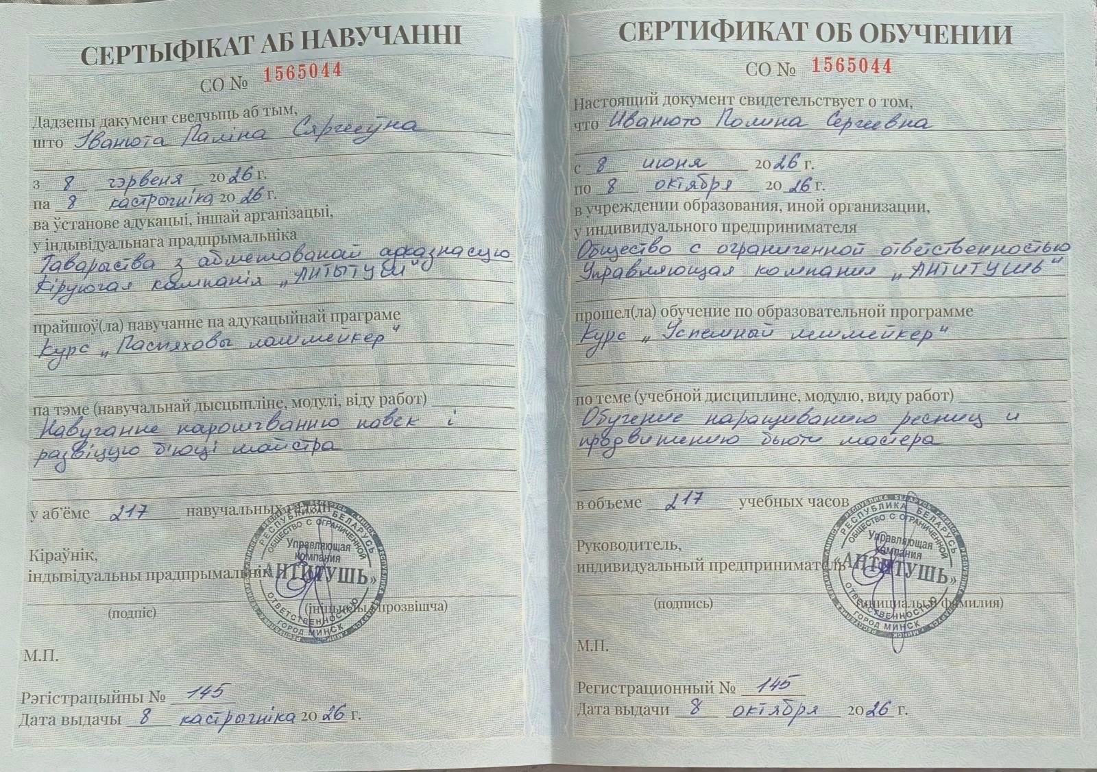 РЕСНИЦЫ ИНСТИТУТ КУЛЬТУРЫ — certificate